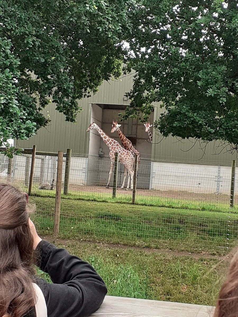 School of Childhood & Education #FE tweet media