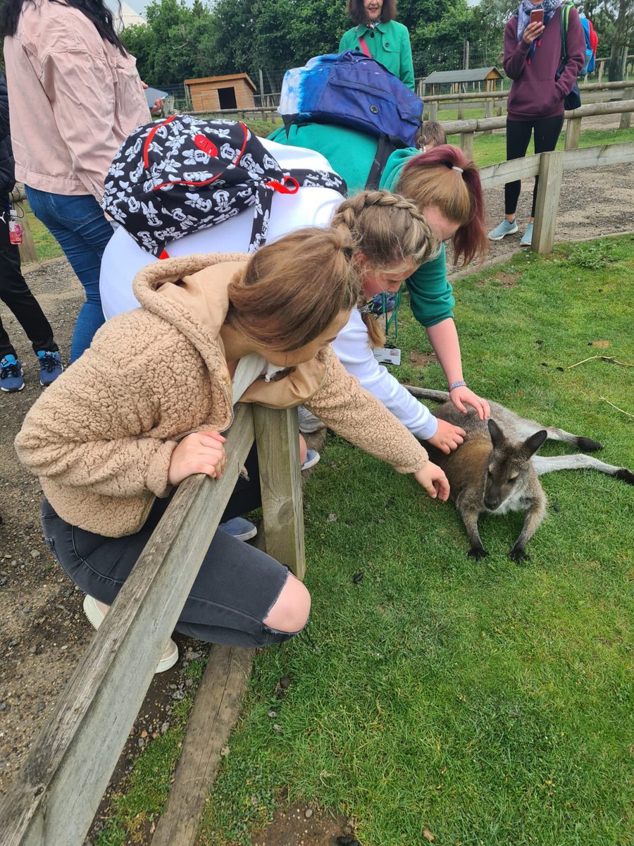 School of Childhood & Education #FE tweet media