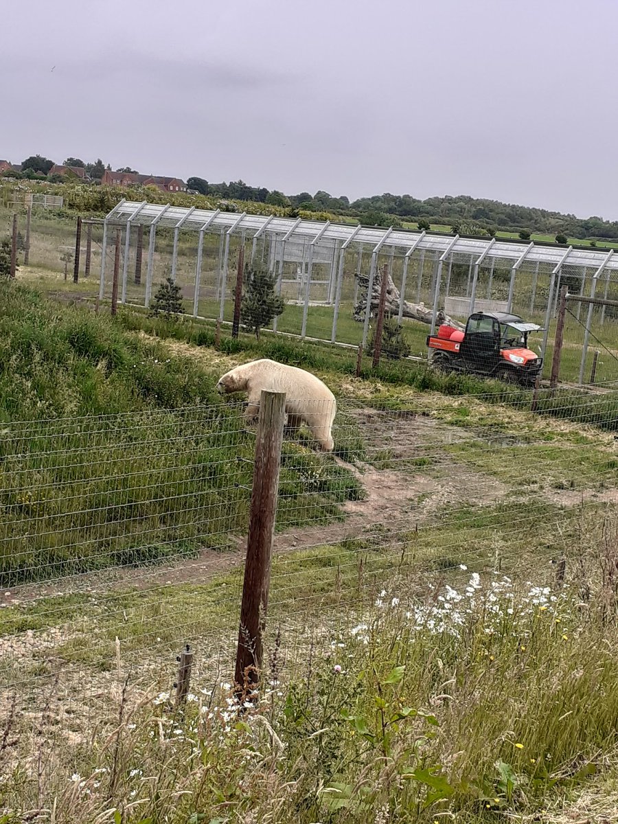 School of Childhood & Education #FE tweet media