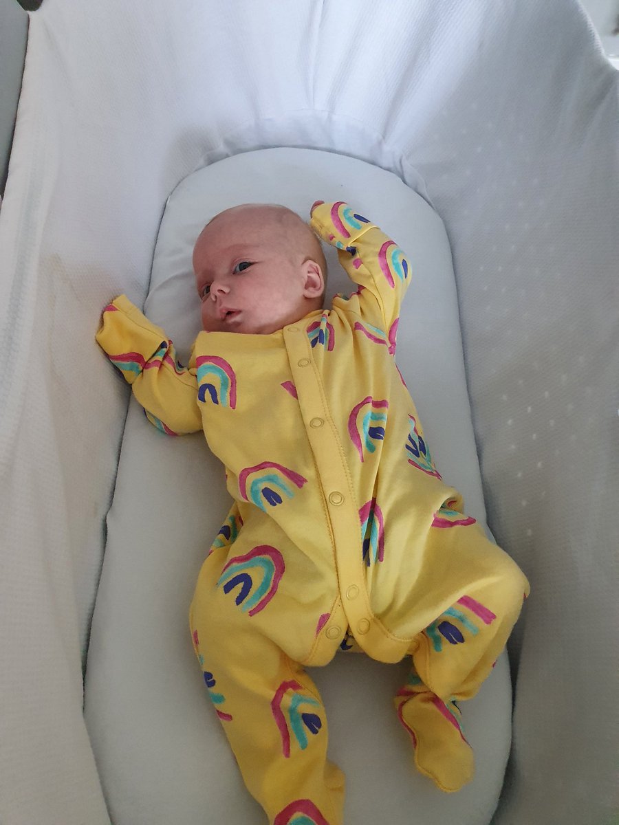 LennyRolles's tweet photo. I have been told I am to do no more unsupervised shopping of clothes for Violet 😁 #NotMuchChoice in her size ps: I still think it looks good https://t.co/DlBkpTj8xF