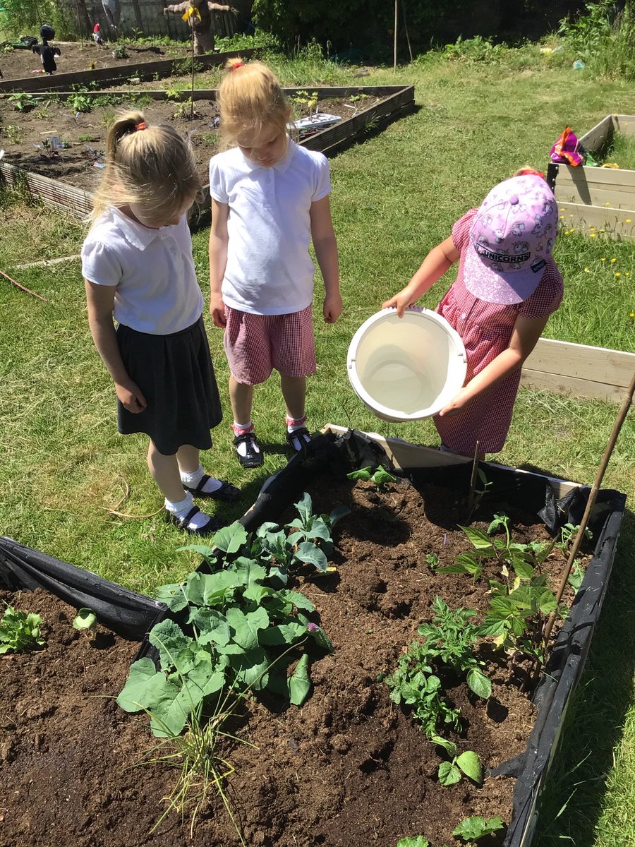 PontRichards's tweet photo. A busy day watering plants 🍀🌻🌏☀️ https://t.co/HAp1XEDria