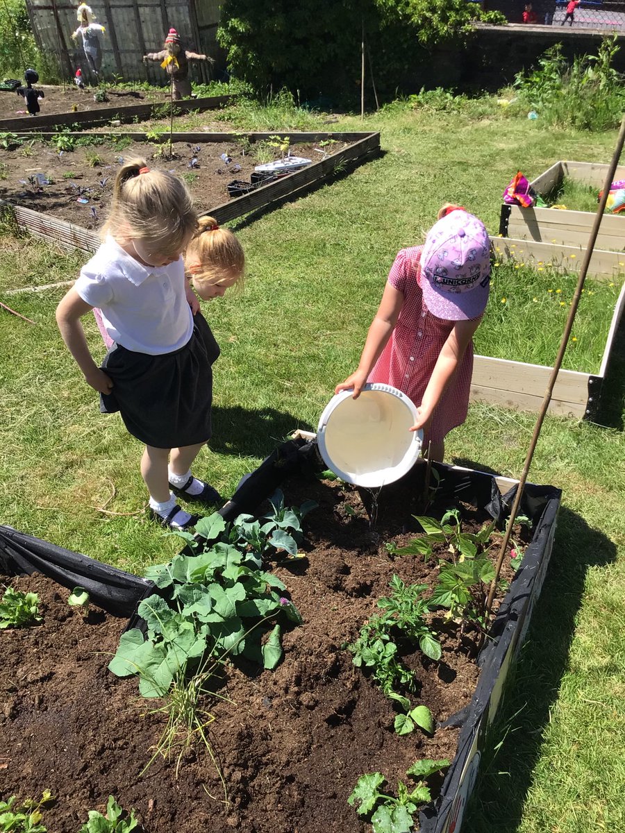 PontRichards's tweet photo. A busy day watering plants 🍀🌻🌏☀️ https://t.co/HAp1XEDria