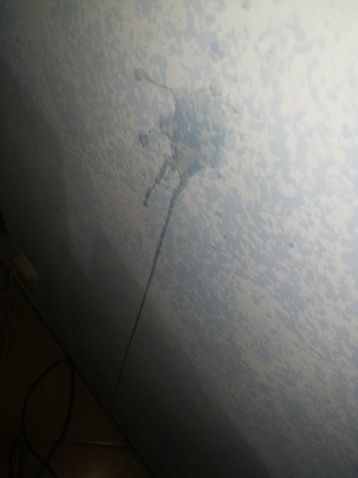 I was doing a #cumtribute for a client and I came so much that I smeared the wall behind it 😅  #cumblaster<a href="/tag/cumtribute"class="tags">#cumtribute</a><a href="/tag/porn"class="tags"><span>#porn</span></a><a href="/tag/cock"class="tags"><span>#cock</span></a><a href="/tag/dm"class="tags"><span>#dm</span></a><a href="/tag/bi"class="tags"><span>#bi</span></a><a href="/tag/masturbation"class="tags"><span>#masturbation</span></a><a href="/tag/dick"class="tags"><span>#dick</span></a><a href="/tag/cum"class="tags"><span>#cum</span></a><a href="/tag/jackoff"class="tags"><span>#jackoff</span></a>