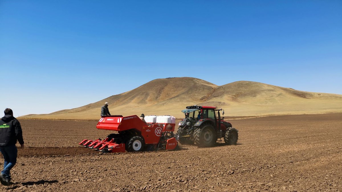 dewulf_group's tweet image. This #CP42 is planting potatoes in China 🇨🇳🥔

Thanks to our dealer, @APHGroup  
#Planting21 #PotatoPlanting #CupPlanter