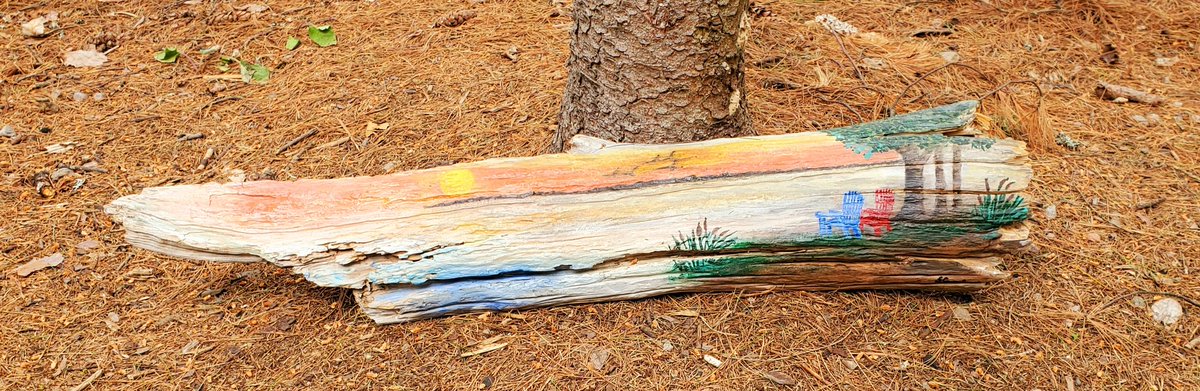 Ki11yCat's tweet photo. First night of our @BonEchoPP @OntarioParks trip and it feels so good to be under the big trees.
 We arrived to artwork left on our site and promptly placed it in a prominent spot. Thank you, our family loves it.
Preparing for the rain coming, game time. https://t.co/XpB187Tex4