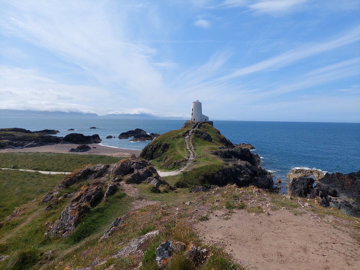 David Brice tweet media