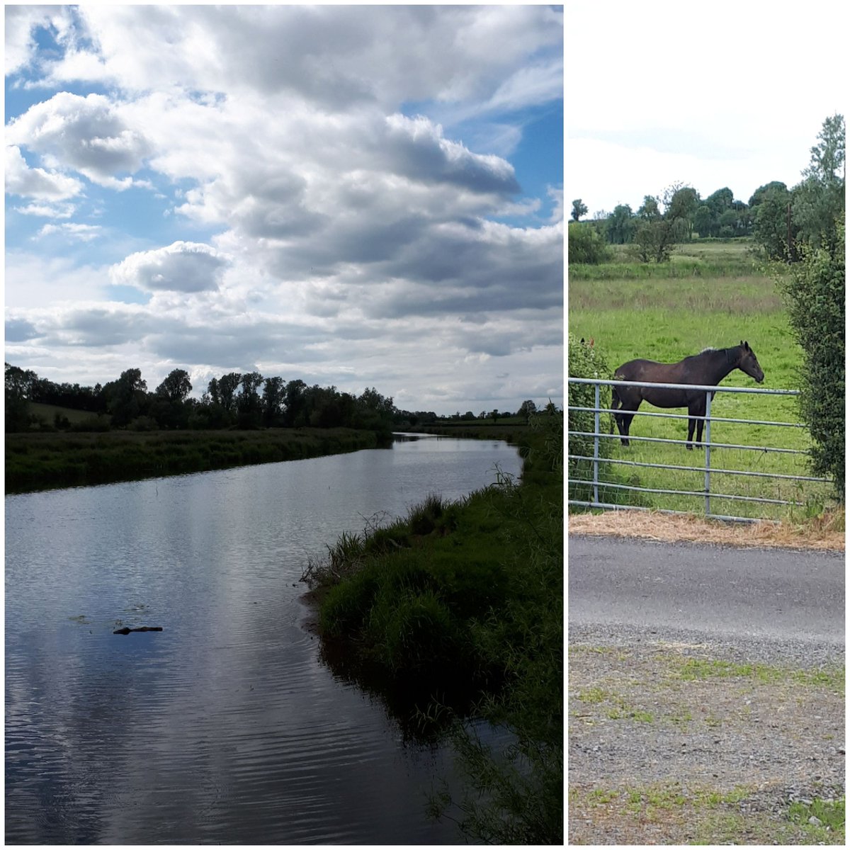 mystatelywake's tweet photo. Heaven Rd, Blissnaskea, Co. Fermanagh ❤❤❤
#BlackBeauty #TheRoss https://t.co/Qy8Qlzc56i