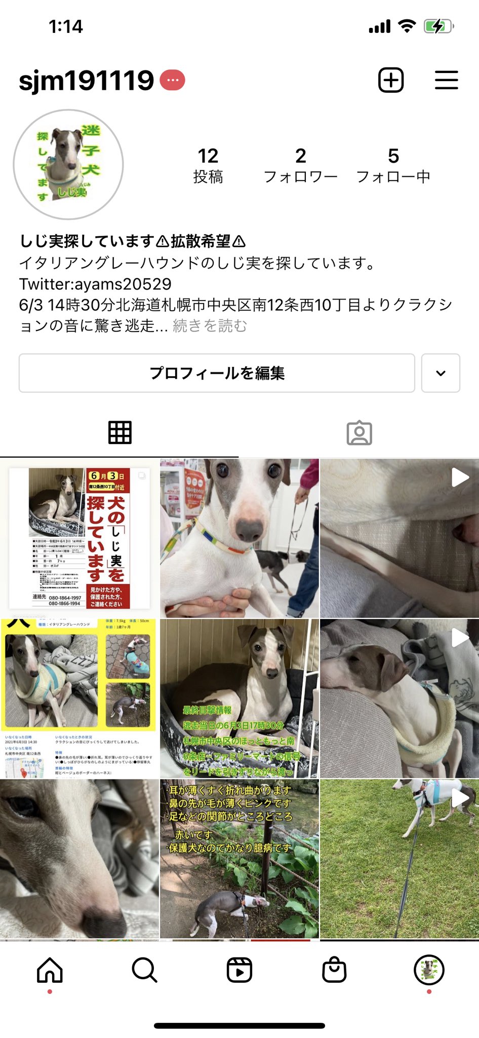 あ や の しじ実の詳しい特徴などインスタに詳しく載っています 似ている子など見かけましたらご連絡何卒宜しくお願い致します インスタ Sjm 拡散希望 迷子 迷子犬 迷い犬 イタリアングレーハウンド イタグレ デカグレ 北海道 札幌 あ や の しじ実の詳しい特徴などインスタに詳しく載っています 似ている子など見かけましたらご連絡何卒宜しくお願い致します インスタ Sjm 拡散希望 迷子 迷子犬 迷い犬 イタリアングレーハウンド イタグレ デカグレ 北海道 札幌