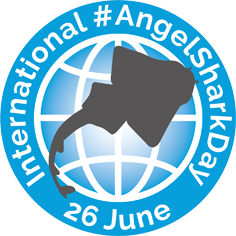 angelshark2014's tweet photo. On Saturday 26th June we’ll be celebrating the 2nd International #AngelSharkDay
During the day we will be sharing Angel shark facts and meeting researchers who work with these incredible species. Don't miss out! 🦈 https://t.co/Pb2z305MqW