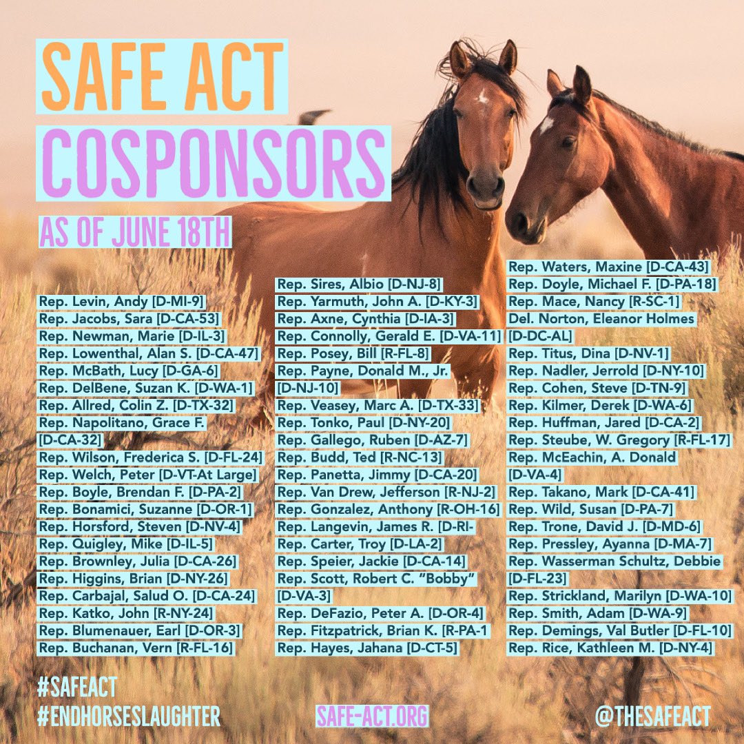 The #SAFEAct has 60 cosponsors! Don’t see your representative? Comment and mention them below and ask them to cosponsor and #join the #movement to #endhorseslaughter  and #passthesafeact. Visit safe-act.org to learn how to help. #horse #weekend #horses
