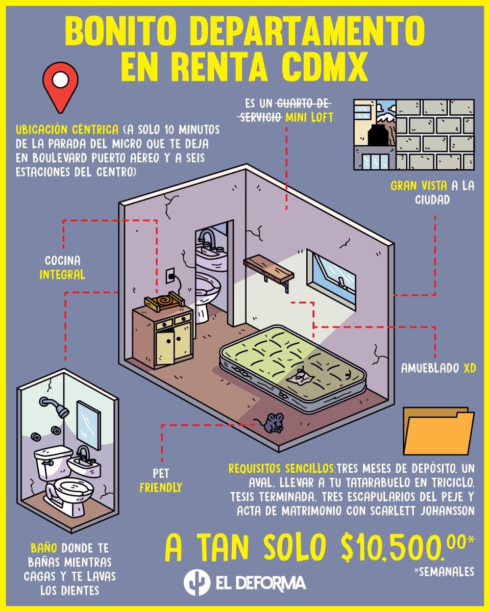 TaniushkaEstrad's tweet image. ¡Les digo! 

#miniloft