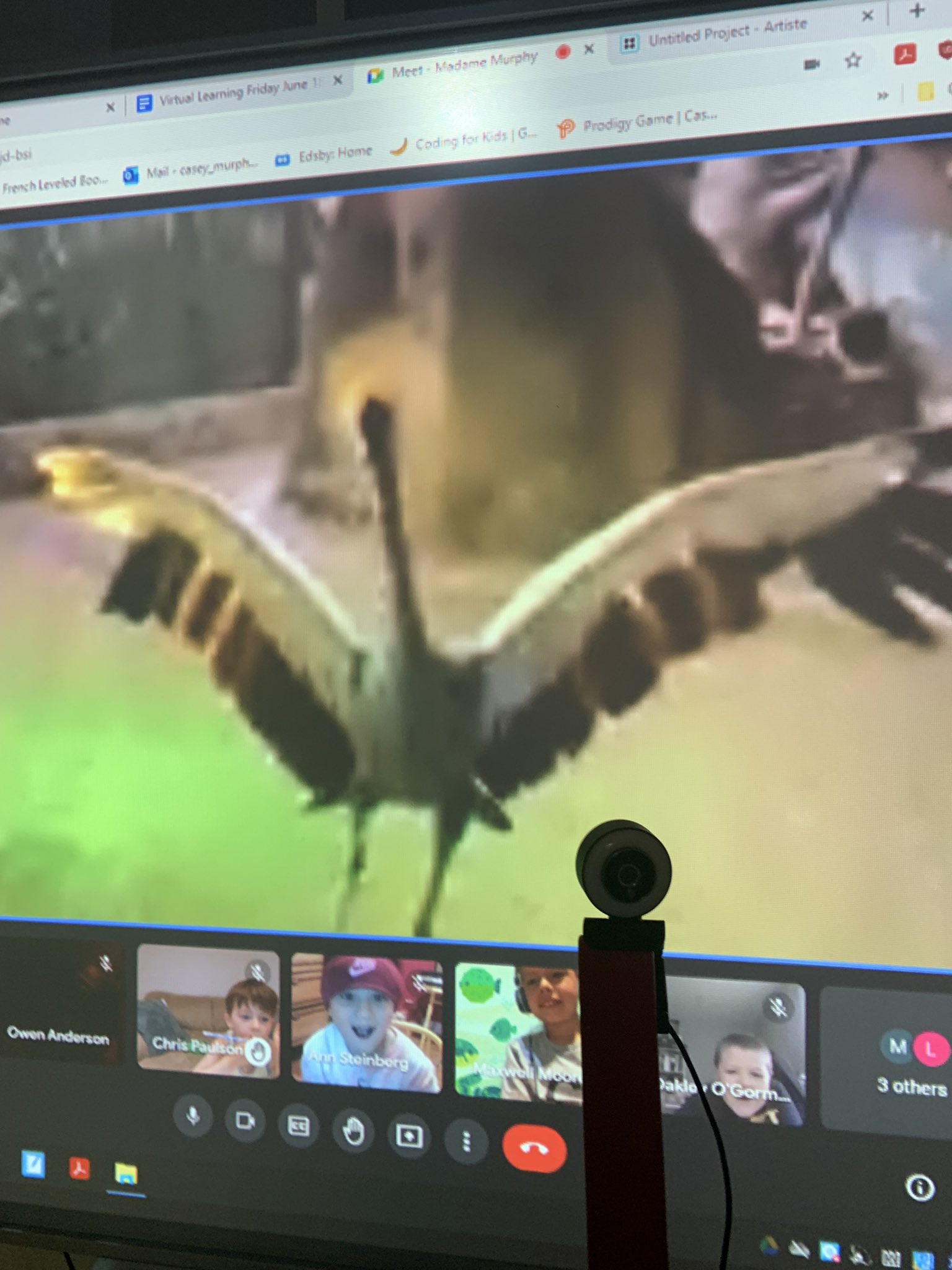 King George Ps On Twitter Nothing Like A Virtual Field Trip To The African Pavilion At The Toronto Zoo Today Cranes Amp Hippos Were Among The Favourite Animals Viewed By Some Of