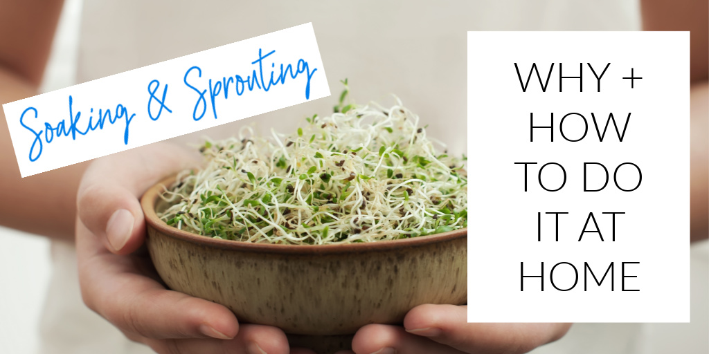 Soaking &amp; Sprouting: A Mini Guide for Home! Here's what to know about growing your own sprouts, why you might want to try it, and the basic steps for success. >>> whitneyerd.com/2021/06/soakin…