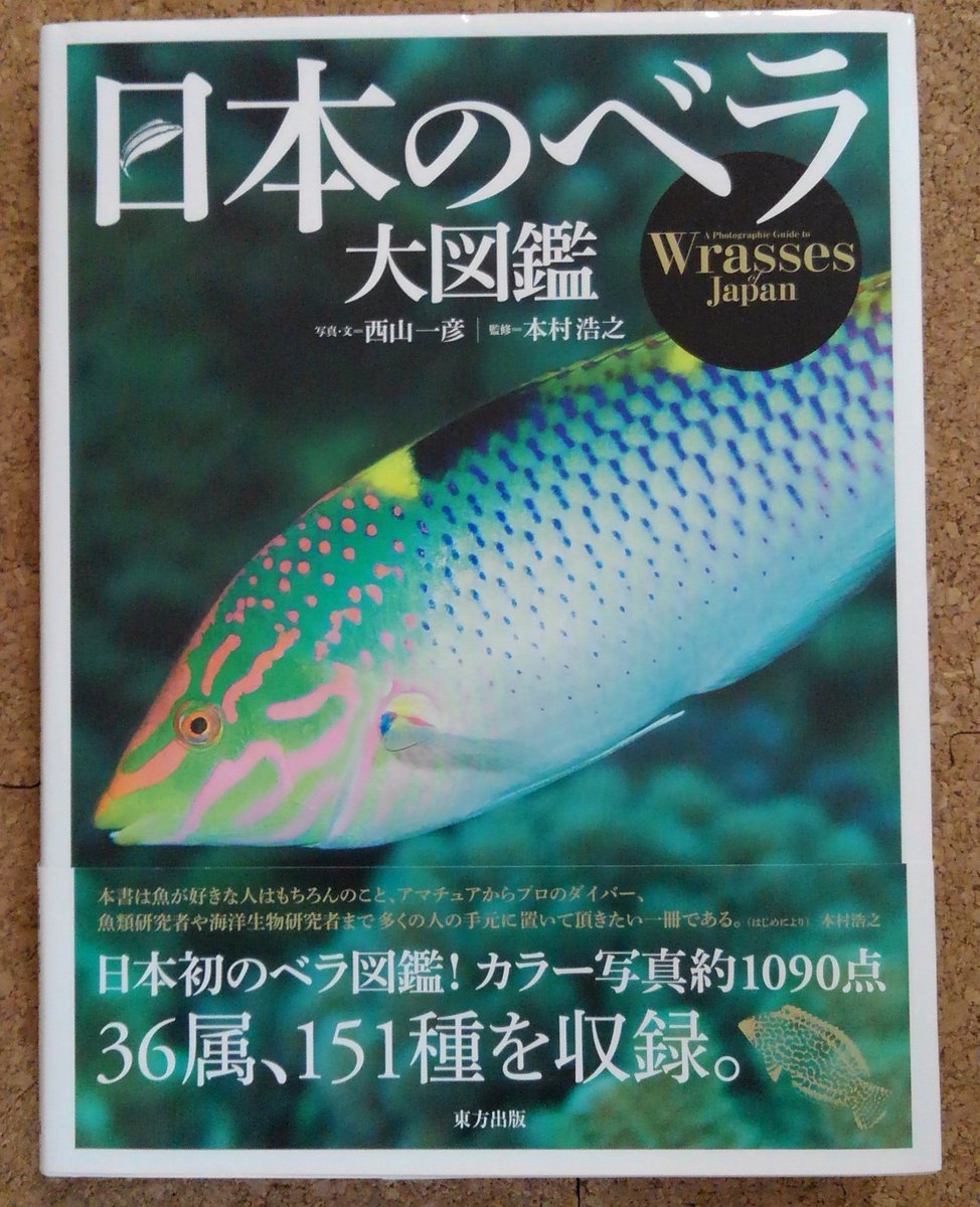 鶴岡一郎 ダイビングインストラクター Pocketlog Twitter 鶴岡一郎 ダイビングインストラクター Pocketlog Twitter