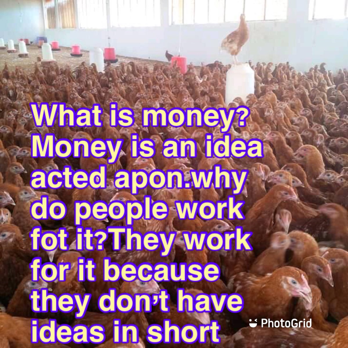 passionate farmer (@bidzabidza1) on Twitter photo 