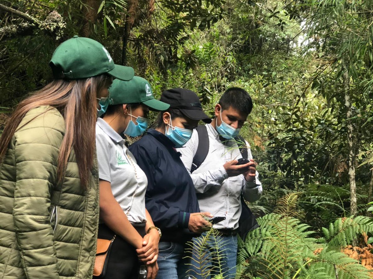 Red Vital Paipa tweet media