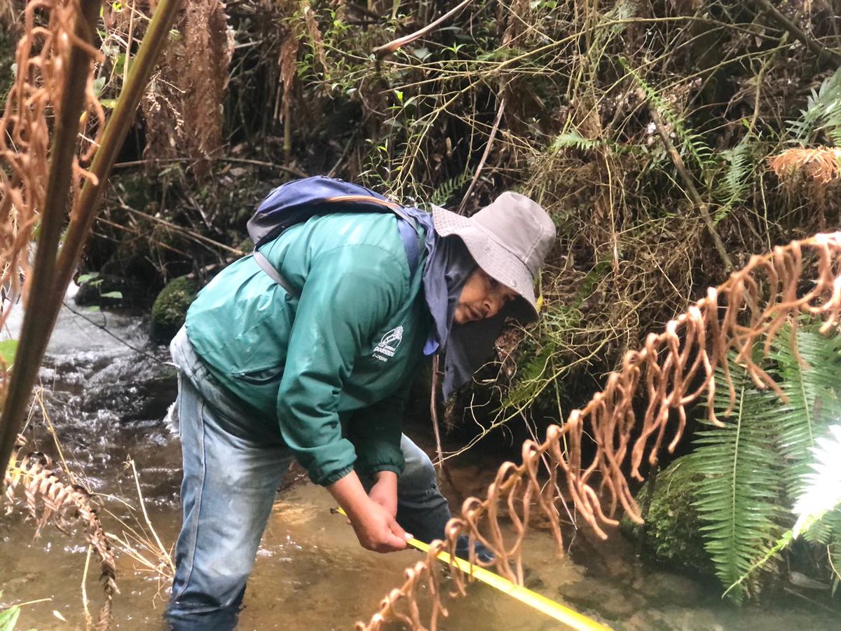 Red Vital Paipa tweet media