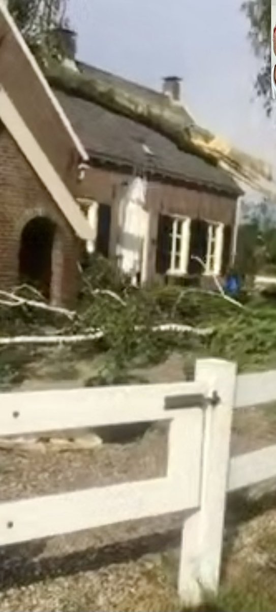 Frank Wolfs tweet media