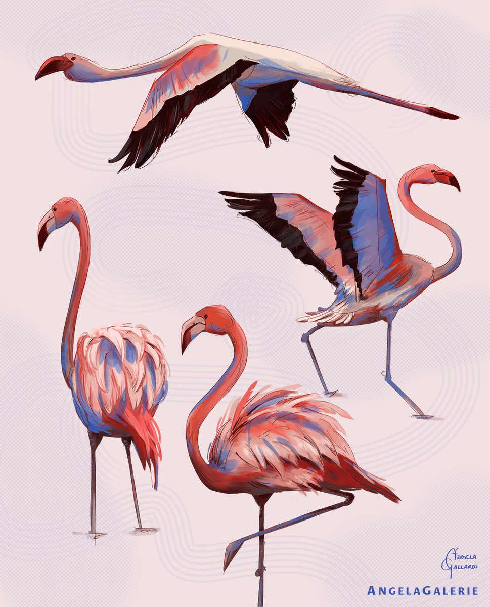 Me gustan los flamencos por sus plumajes majestuosos y sus formas delicadas.
¡Espero que lo disfrutéis!

#flamingoart #birdart #animalartwork #animalartists #animalillustrations #animalsketches #animalsketch #ilustration #animalsketch #myartwork #sketch #sketckbook #artoftheday