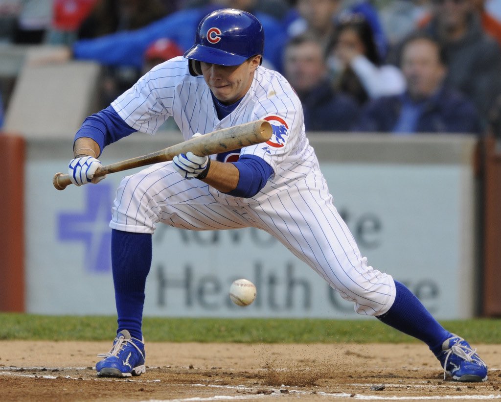 leonesdeyucatan's tweet photo. ¡BIENVENIDO A LA CUEVA, TONY CAMPANA!

Nuestro nuevo guardabosques ya está con el club para iniciar la serie del fin de semana en @elaguilabeisbol 🦁👊

🟢 4 años en MLB con Cubs, Diamondbacks y Angels
🟢 En 2019 bateó .329 AVG, 160 H, 91 C y 29 RB

#ComparteLaEmoción https://t.co/Jv18dw42z2