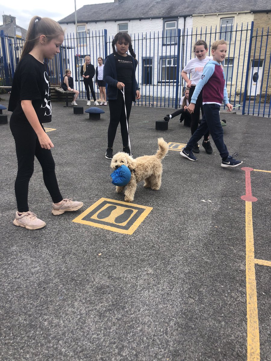 Thanks for a fab lunch time Year 5! Loved playing football with you all 🐶⚽️💞