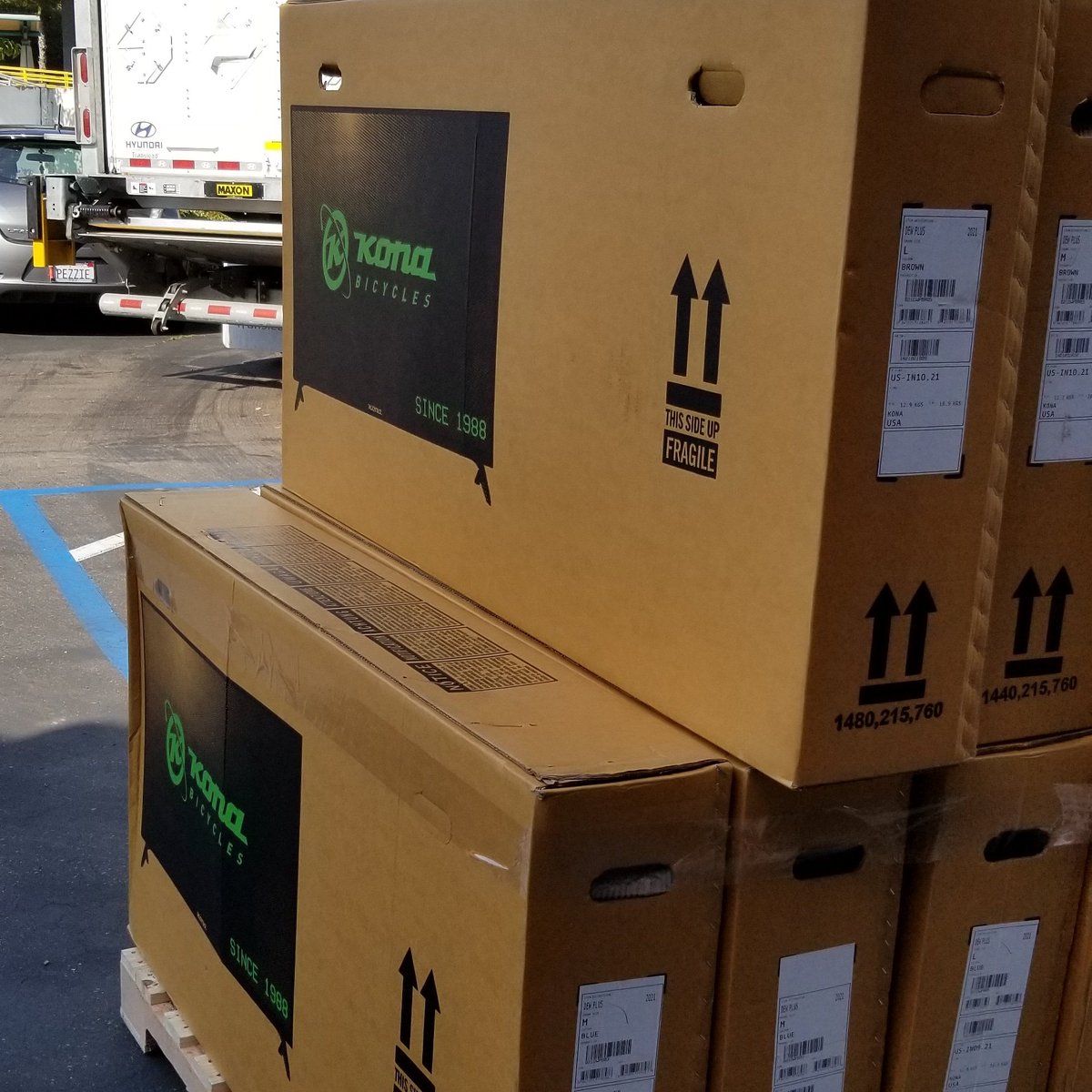 CycleQuestSD's tweet photo. We've got Kona bikes! #cyclequestsd #konaworld #cycling https://t.co/t7neI0Pzgn