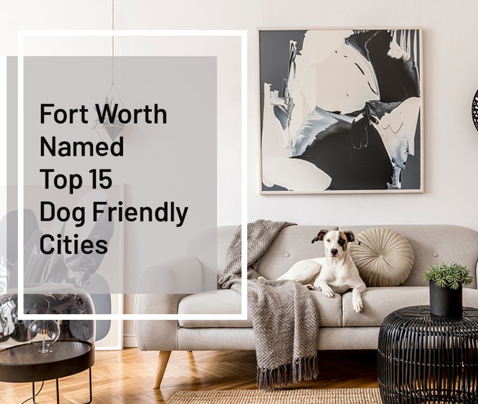 c21bowman's tweet photo. Fort Worth named TOP 15 Dog-Friendly Cities
https://t.co/XBTP4VZBLO https://t.co/XvkaNWwzyO