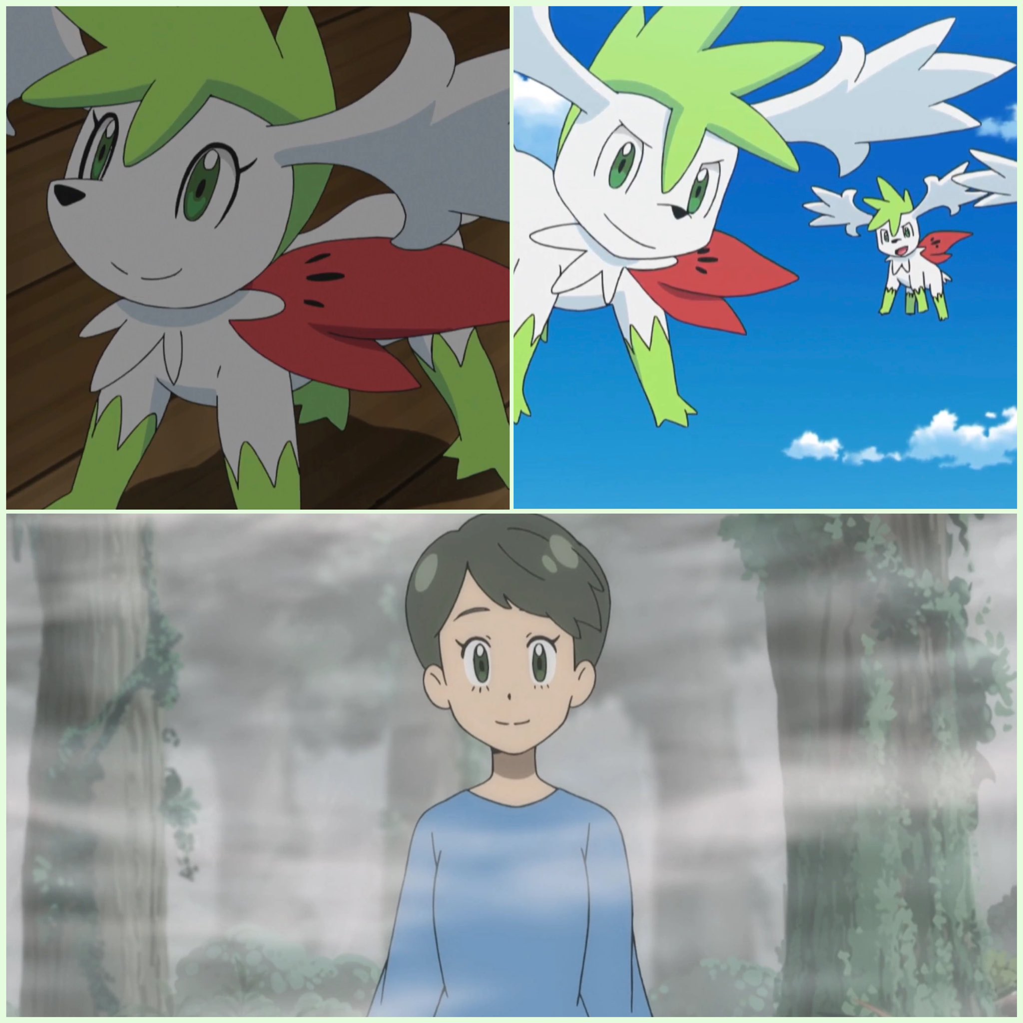 Sapphire △ on X: Notice how when Shaymin transforms into Sky-Forme, its  eyes are not regular Shaymin eyes. They resemble Mallow's mother's 😭💚  (SM146: Thank you Alola! The Journey Continues!) #anipoke #pokemon #