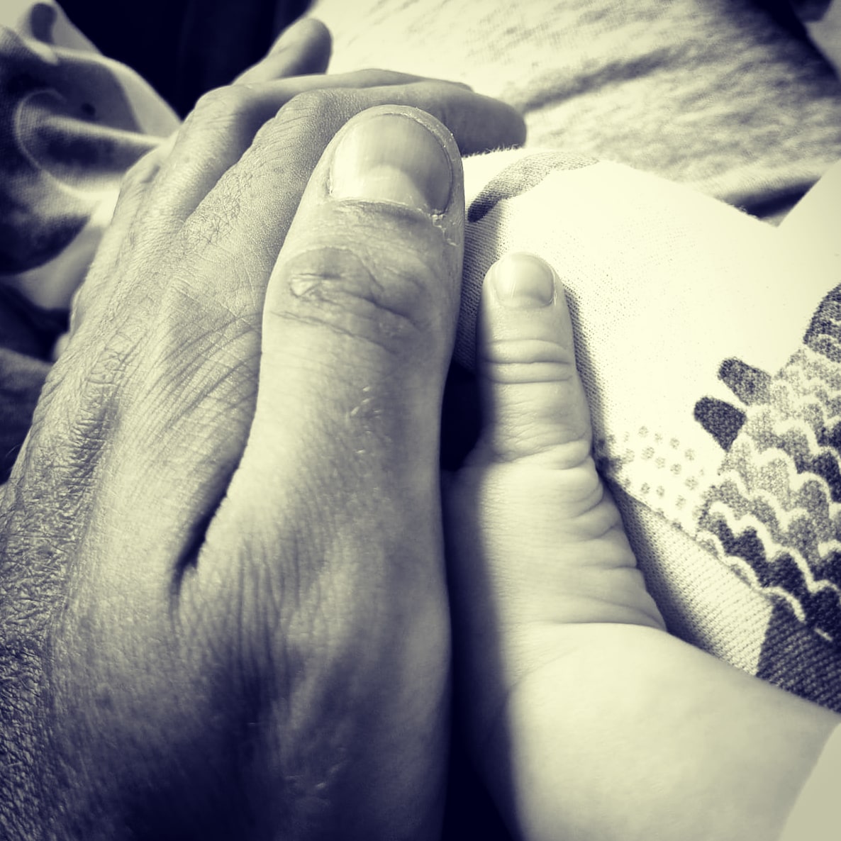 My other half sent me this pic today of him and our little boy, it reminded me of my favourite <a href="/thecourteeners/">Courteeners</a> song sunflower <a href="/What_Liam_Said/">Liam Fray</a>  <a href="/m00resy/">Daniel Conan Moores</a> wonder why?! 💛😉 🌻