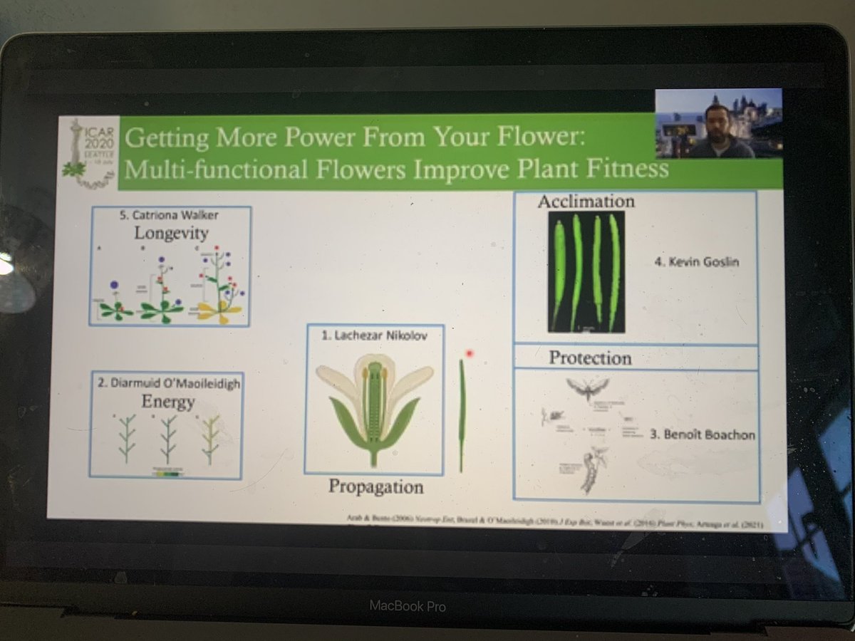 GARNet UK Plant Science (@garnetweets) on Twitter photo Starting to nose-around the many many many @ICAR_2020 minisymposium.. why not take a look at MS7.1 on ‘Getting more Power from your Flower’ w @plant_DOM <a href="/CHollyWalker/">Catriona Walker</a> and others.... #icar2021 Starting to nose-around the many many many @ICAR_2020 minisymposium.. why not take a look at MS7.1 on ‘Getting more Power from your Flower’ w @plant_DOM <a href="/CHollyWalker/">Catriona Walker</a> and others.... #icar2021