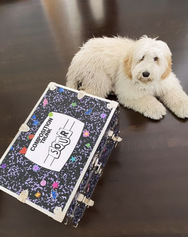 The only thing people are loving more than Olivia Rodrigio’s new album, is the merch box she sent with it! It’s further proof of the power of promo kitting! billboard.com/articles/colum…