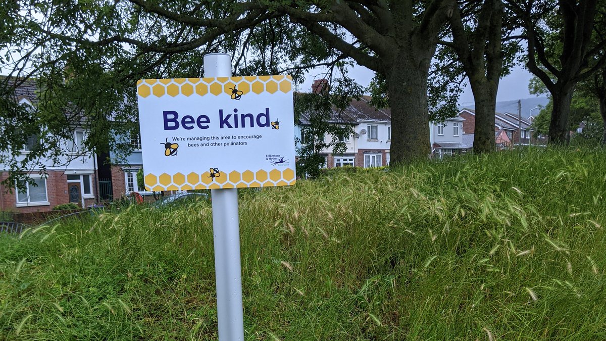 WildflowerUrban's tweet photo. Great to see @fstonehythedc doing their for flowers and pollinators!
#urbanwildflower #savethebees #supportbees https://t.co/tXB5DFTtoq