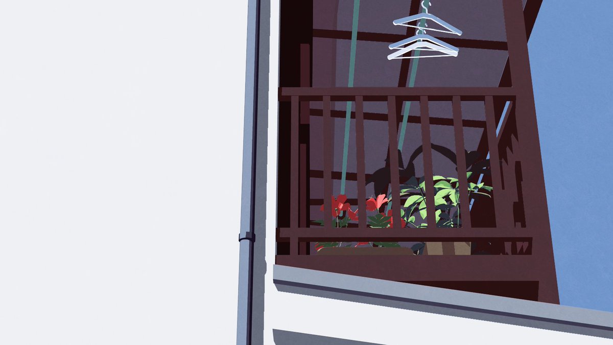 plant no humans flower potted plant red flower shadow window  illustration images