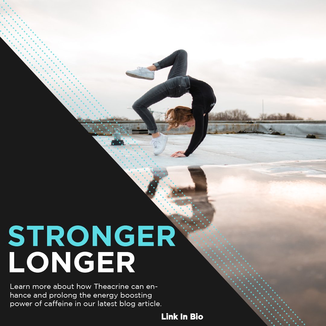 gotamatime tweet media