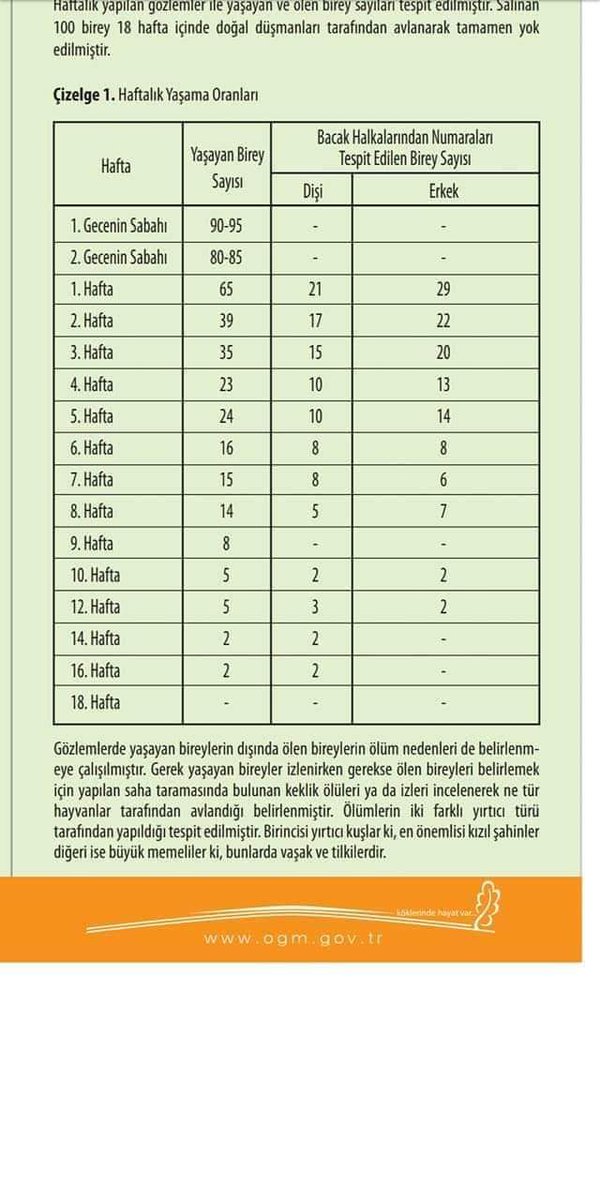 Sayın <a href="/bekirpakdemirli/">Dr. Bekir Pakdemirli</a> bakanım bu yanlıştan dönelim. DKMP olarak 
Kafeste yetiştirip doğaya saldığınız tek bir kuş yaşamıyor, yalan ortaya çıkmasın diyor halkalama yapmıyorlar. Avlak kapatmak için oynanan bu oyuna dur diyelim. Pilot bölge seçelim melezleme yapmayalım
#AvcıKorur