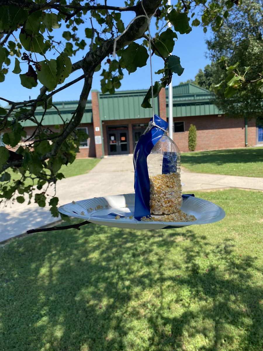 MES Kindergarteners designed and built bird feeders this week in the Summer Scholars program as a STEM project this week! #SumnerAchieves #SummerScholars @co_sumner <a href="/skinner_frankie/">Frankie Skinner</a>