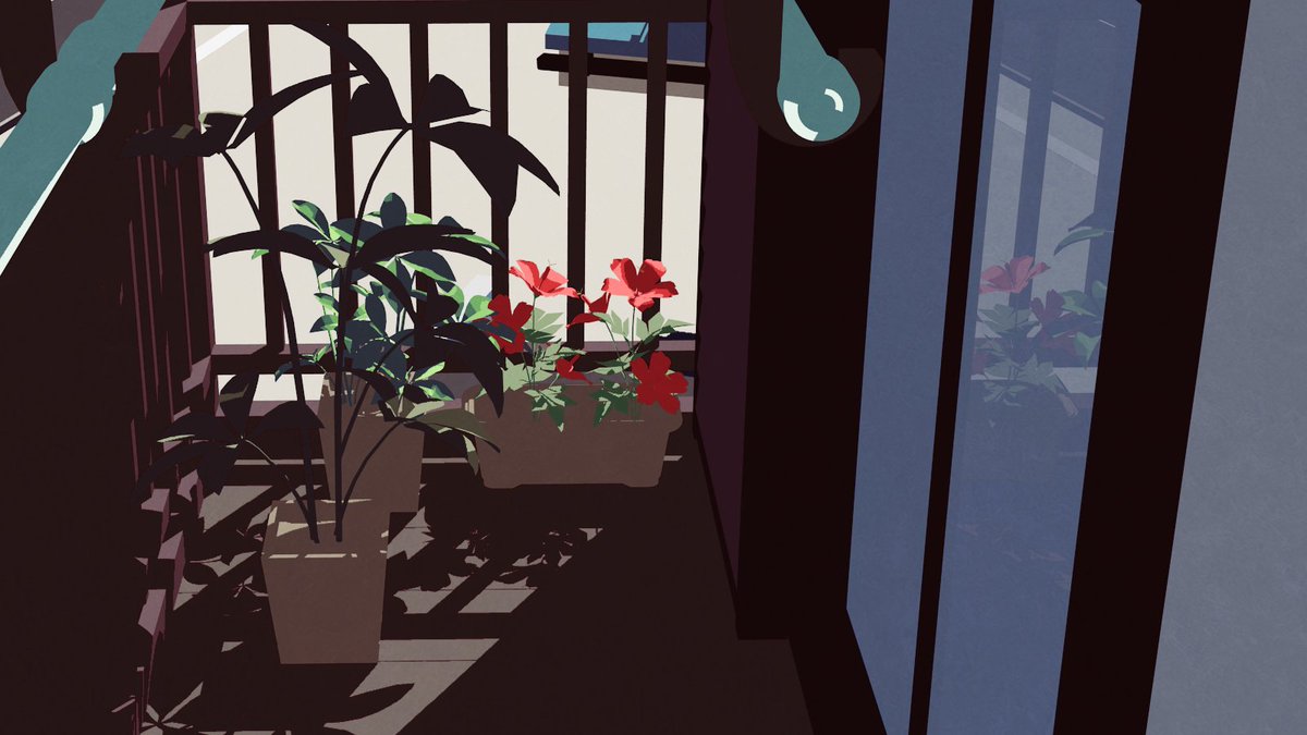 plant no humans flower potted plant red flower shadow window  illustration images