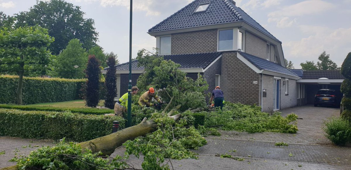 Boom valt tegen huis in Heeswijk-Dinther. #mooibernheze.