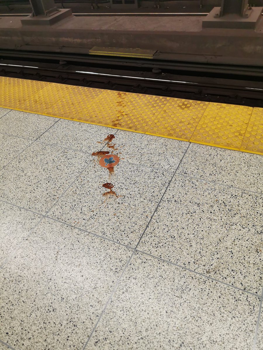 FuturamaFriday's tweet photo. @TOPublicHealth @cityoftoronto Should I get stabbed to death on the TTC? how will the effect my health? https://t.co/nArgcX43YK
