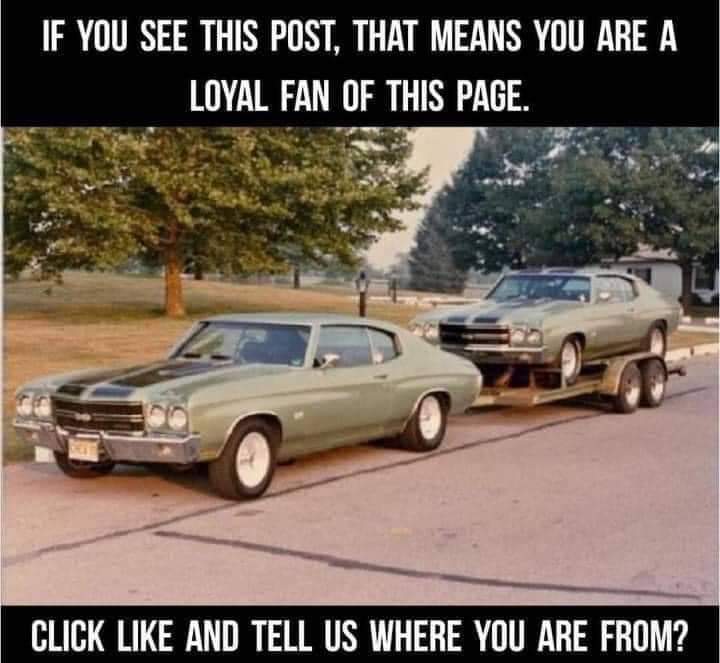 Muscle Cars Zone tweet media