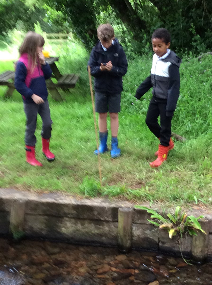 BeechClass_RE's tweet image. 