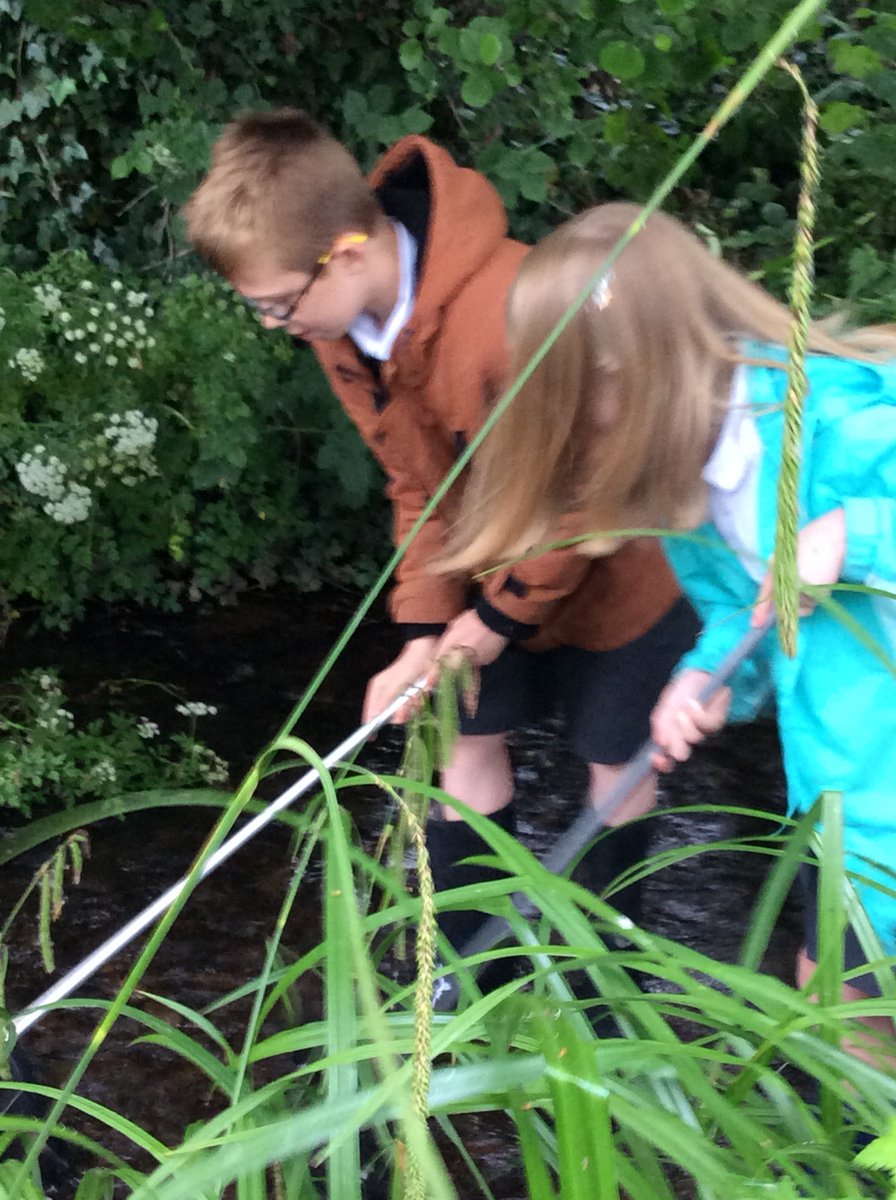 BeechClass_RE's tweet image. 