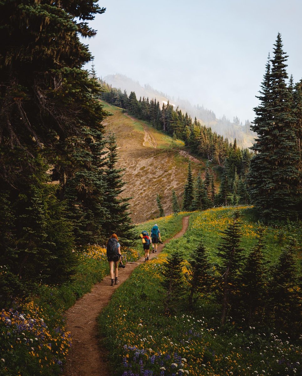 On the way to scout out a spot to sleep for the night 😌