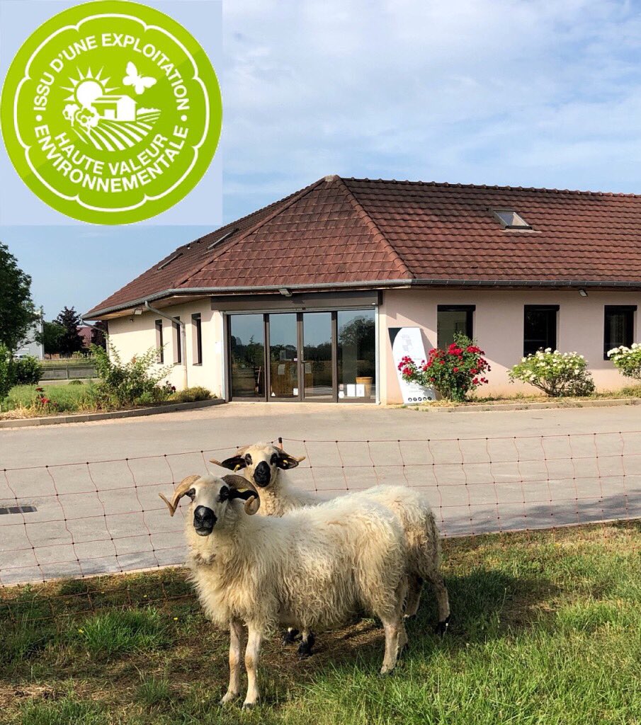 Domaine de Sainte Marie tweet media