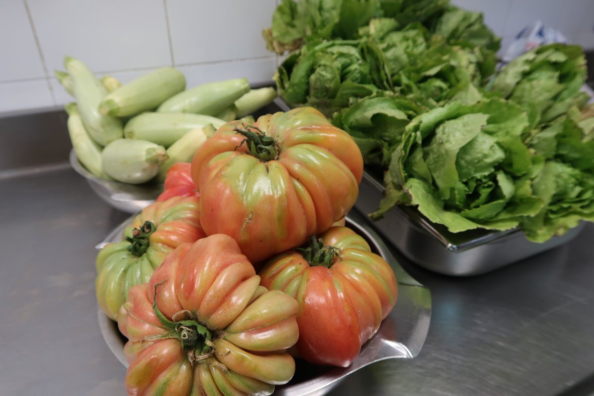 🍽En el dia de la #gastronomiasostenible, posam en valor projectes com 'Mallorca al plat', que tenen per objectiu incrementar el #productelocal i ecològic a les escoles 

👧Posam la llavor per una alimentació més sostenible i més propera, que beneficiï el sector primari
