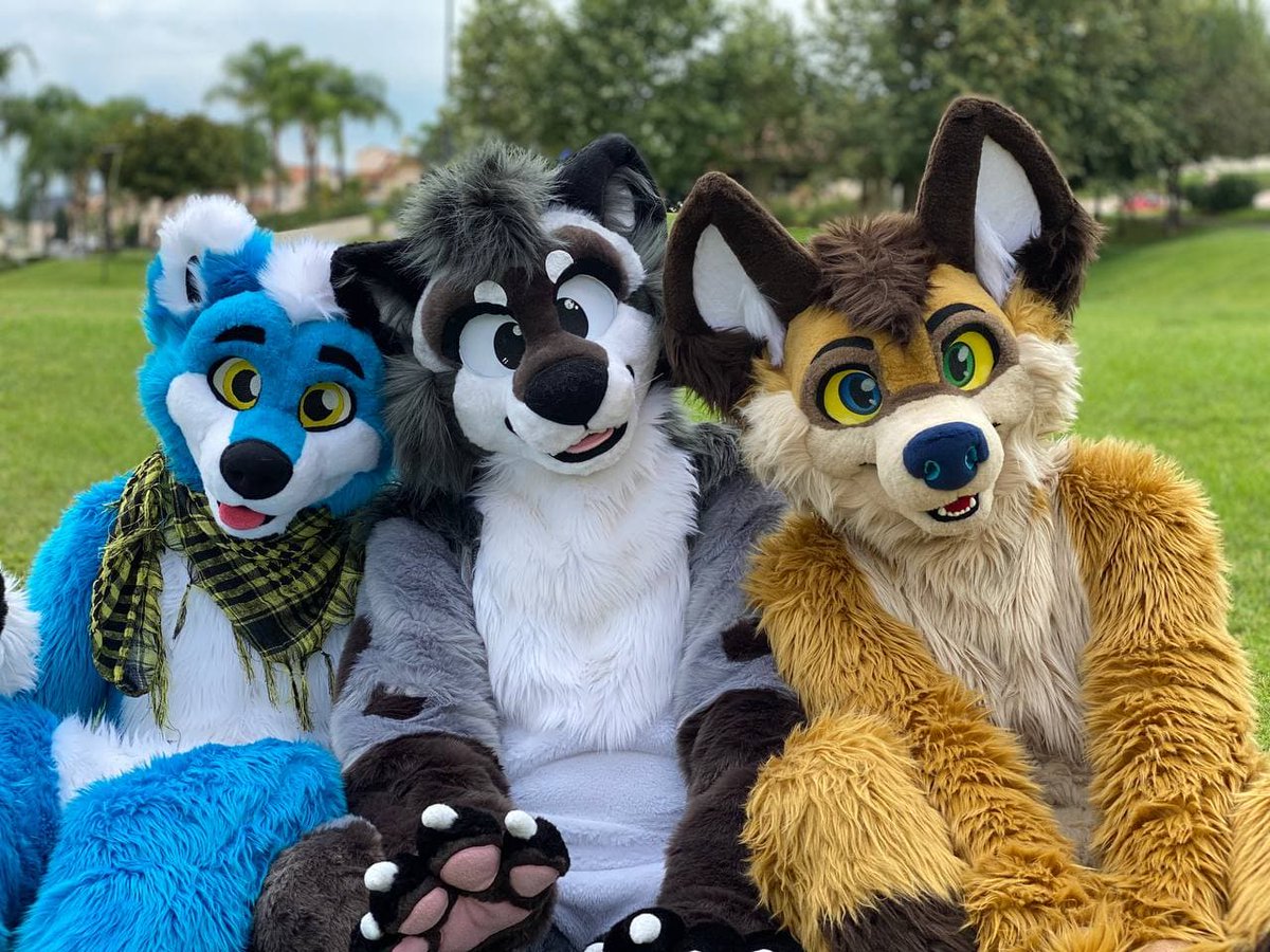 A very chilling time digging on neighbor's trash with friends. 

They are <a href="/Yo_Soy_Wolfhug/">Yo Soy Wolfhug 🌠</a> , me the raccoon, and <a href="/KoidelCoyote/">KoidelCoyote 💫 FWA AC MP</a> 

#FursuitFriday <-- This is still a thing, right?