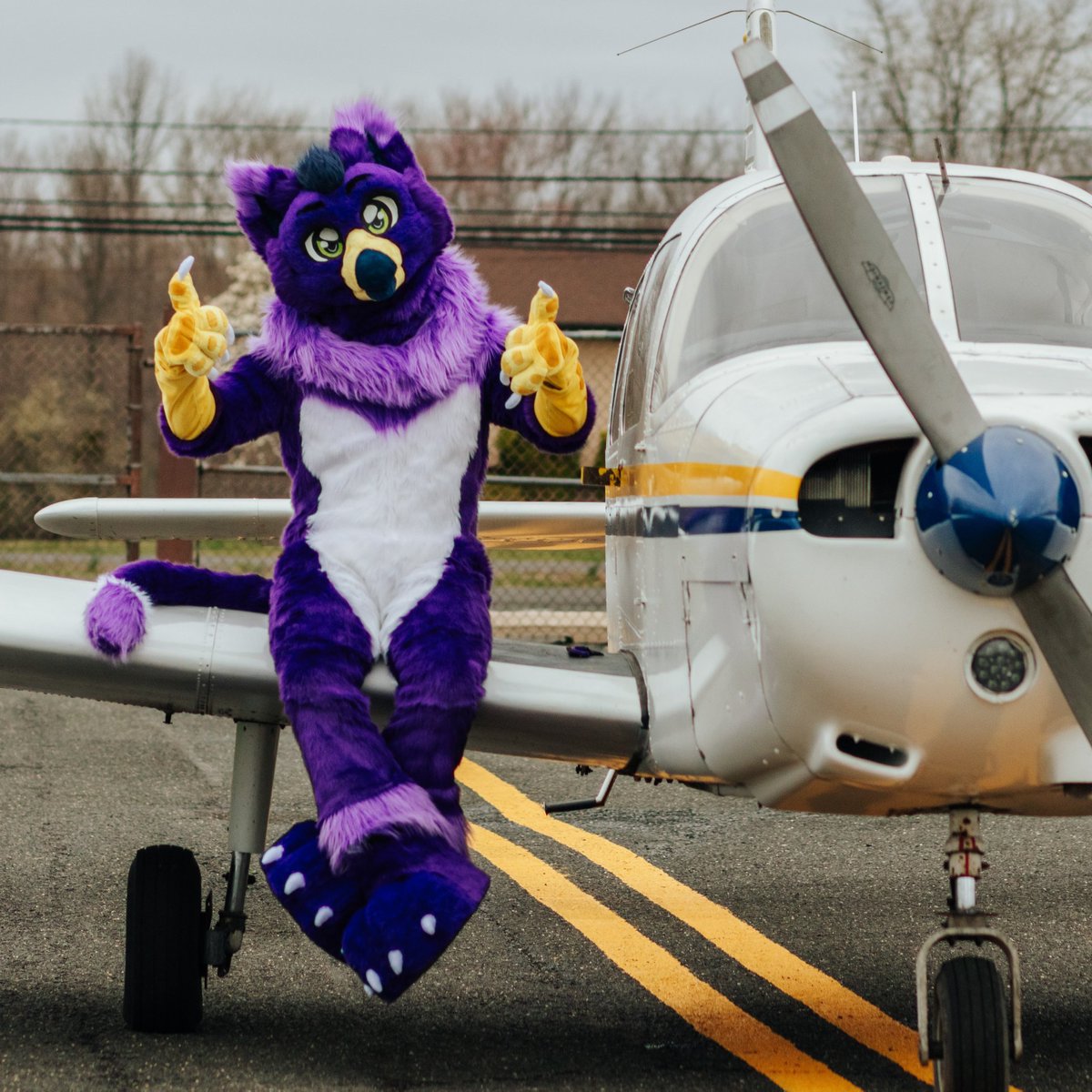 Vacation days awarded ✅
Plane tickets purchased ✅
Rental car booked ✅

It's airshow time! This bird's heading to Oshkosh 2021 next month!! 🛩️

#FursuitFriday #EAAairventure #Oshkosh2021