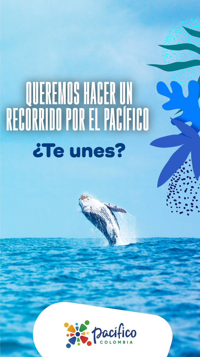 PacificoCol's tweet photo. #ElPacíficoSabeA esas cosas que te gustan ¡Visítalo! https://t.co/f5qlysEvGi