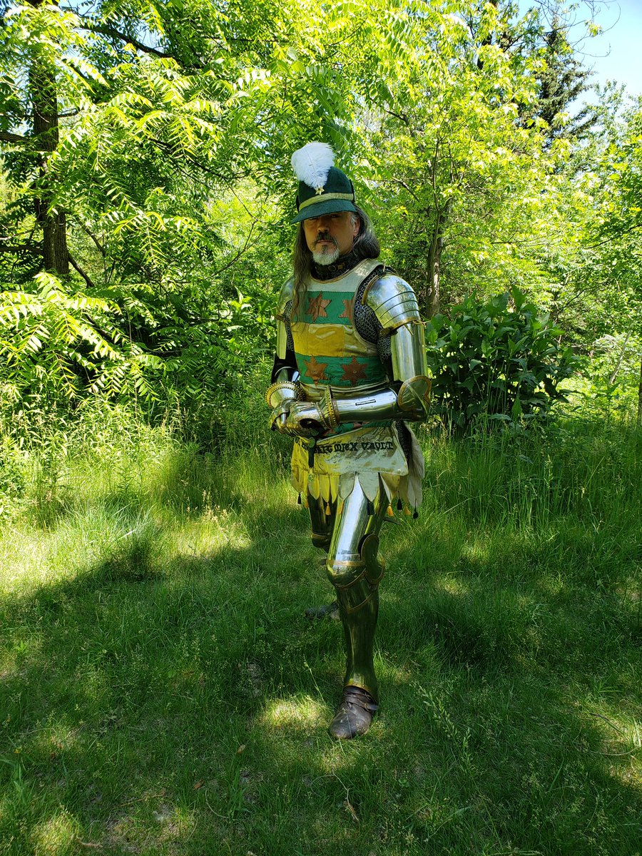 International Armizare Society tweet media