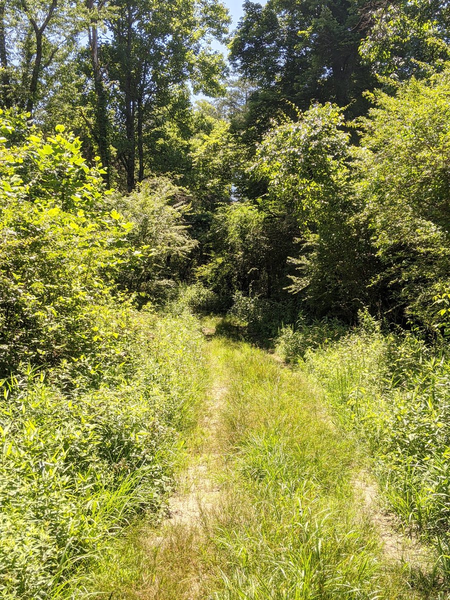 Annette32103419's tweet photo. The road less traveled https://t.co/8xjnoRThZ0